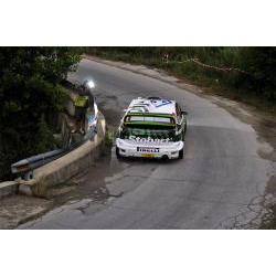 WILSON Matthew - MARTIN Scott