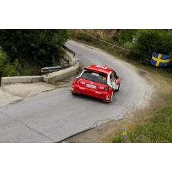 LEMES Yeray - PENATE Rogelio