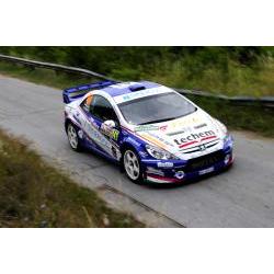 TURAN Frigyes - LSIROS Gabor