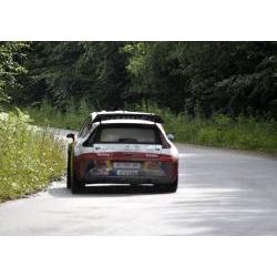 Sebastian Loeb / Daniel Elena