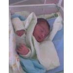 Stefan Assenov - Spy Shot...