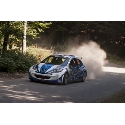 SS13 - Mecha poliana